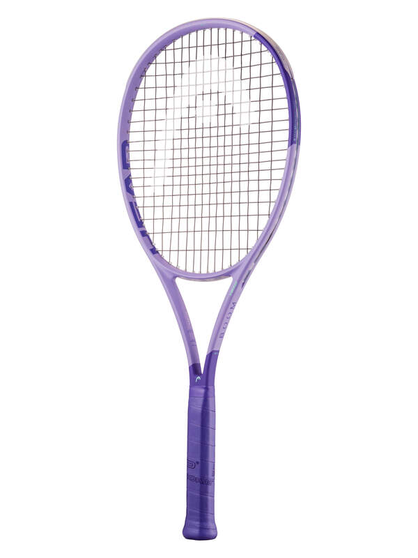 Boom MP L Alternate 2026