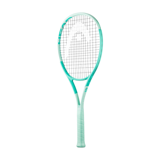 Boom MP L 2024 Alternate